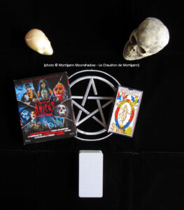 Le Chaudron de Morrigann: Relevez le défi du Dr. Schreck!